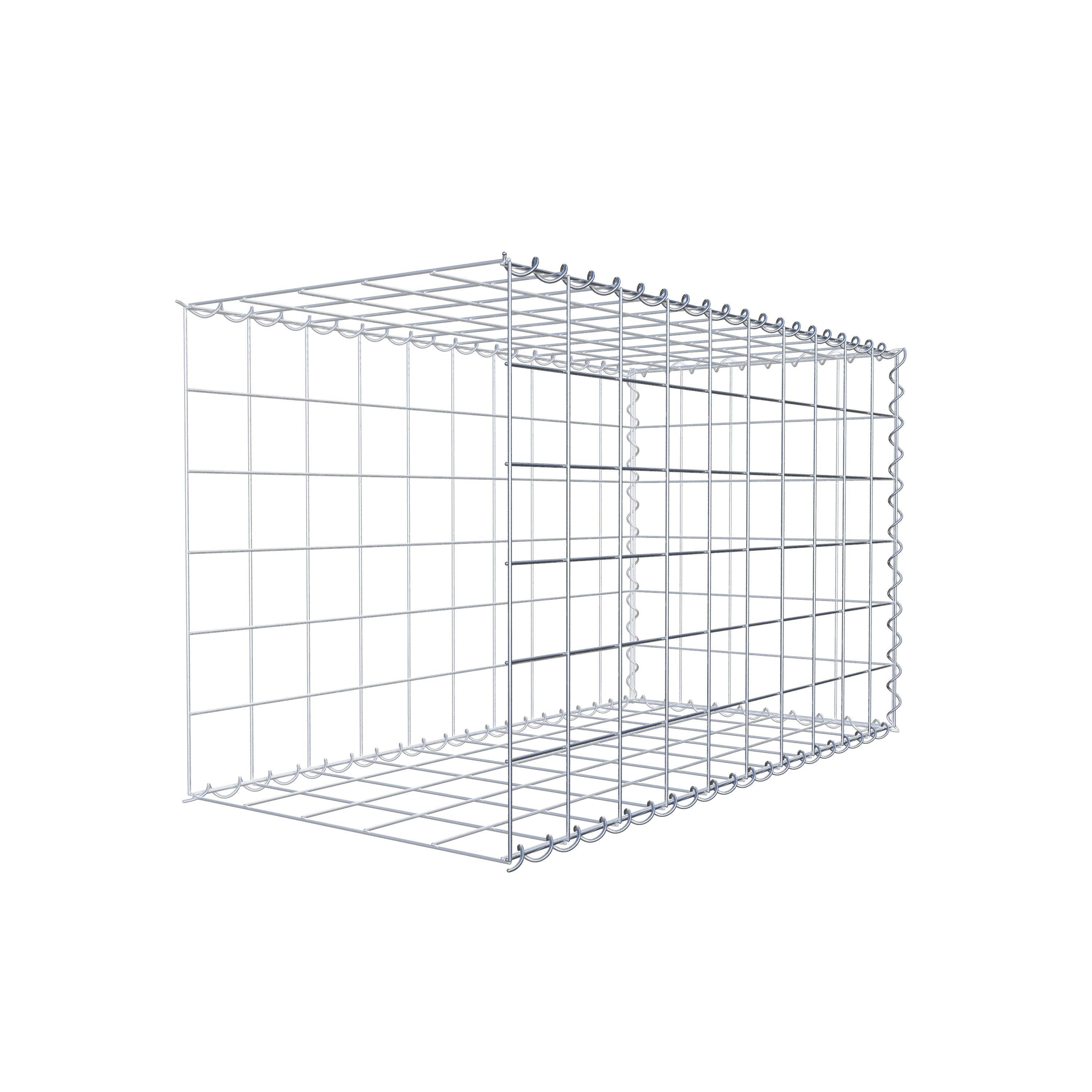 Grown-on gabion type 2 100 cm x 60 cm x 50 cm (L x H x D), mesh size 10 cm x 10 cm, spiral