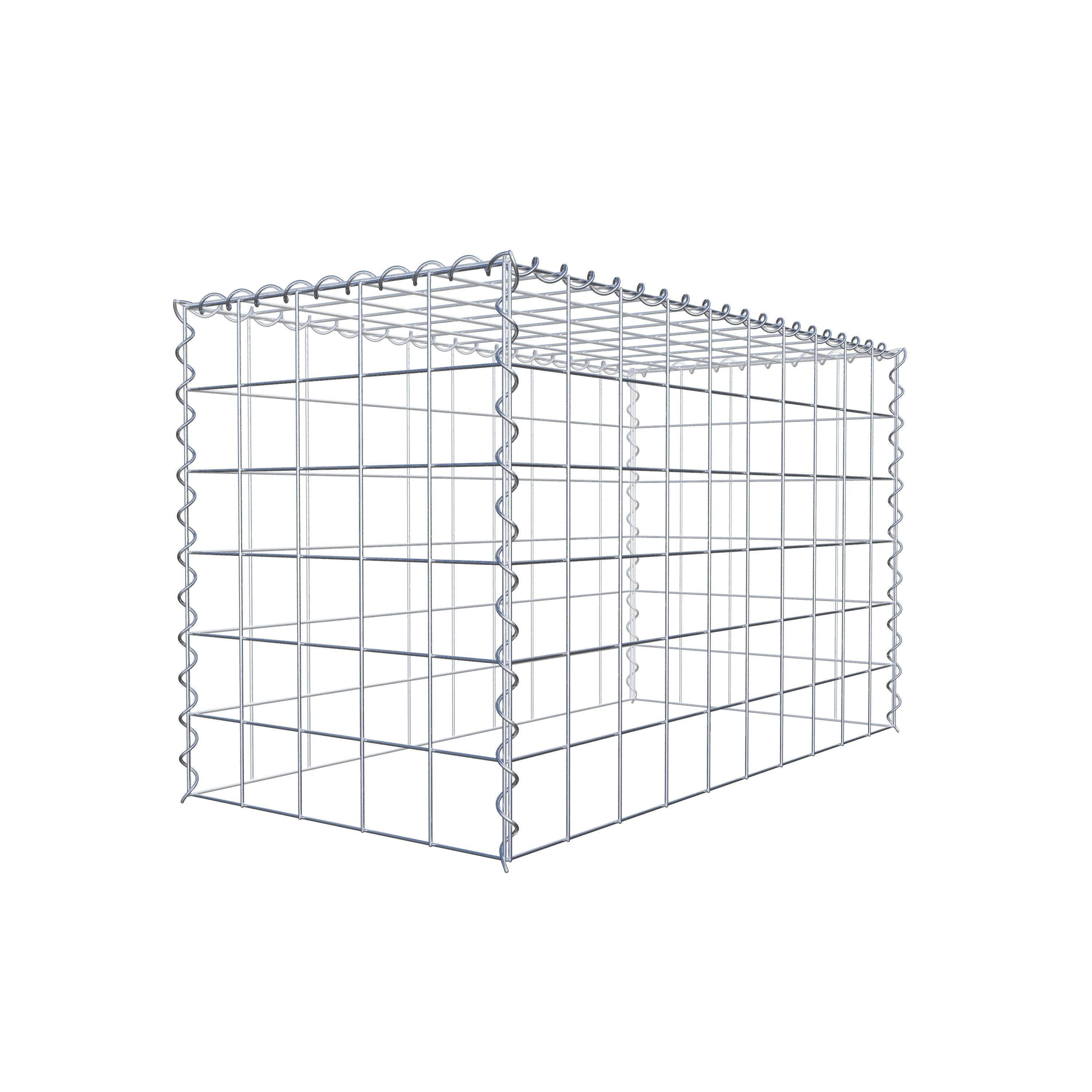 Grown-on gabion type 3 100 cm x 60 cm x 50 cm (L x H x D), mesh size 10 cm x 10 cm, spiral