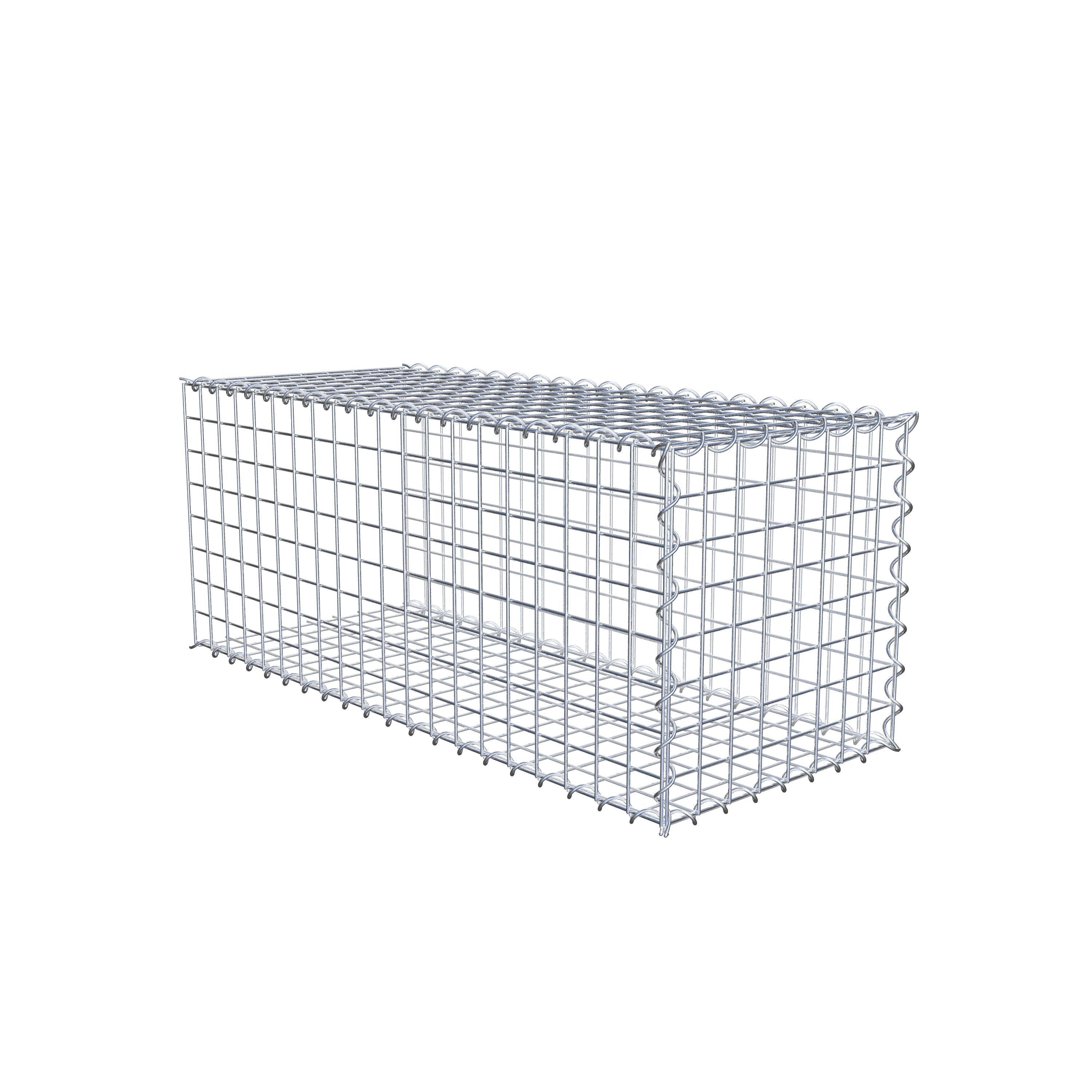 Grown-on gabion type 2 100 cm x 40 cm x 40 cm (L x H x D), mesh size 5 cm x 5 cm, spiral