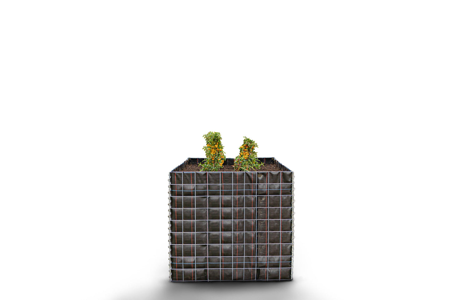 Högbädd, fyrkantig utan stenområde - Längd: 100 cm - Höjd: 90 cm - Djup: 100 cm - Maskstorlek: 10 x 10 cm