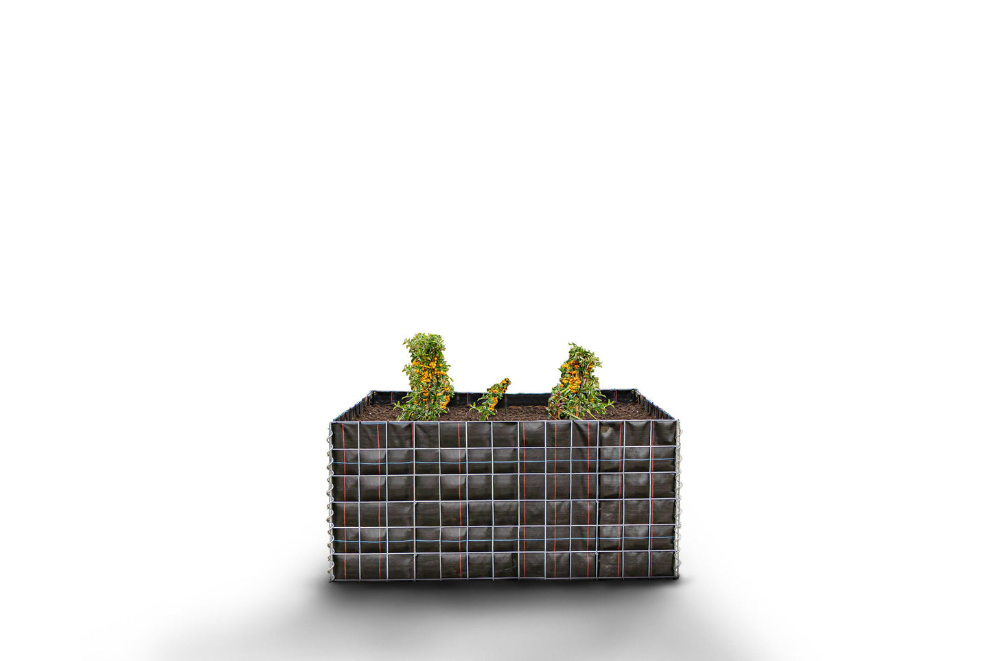 Lit surélevé carré sans zone de pierres - Longueur : 130 cm - Hauteur : 60 cm - Profondeur : 60 cm - Largeur des mailles : 10 x 10 cm