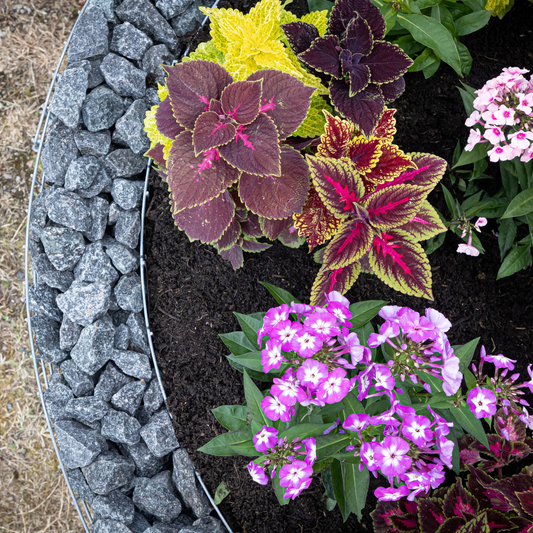 Runde Gabionen-Hochbeete online bestellen: Fit für die neue Gartensaison