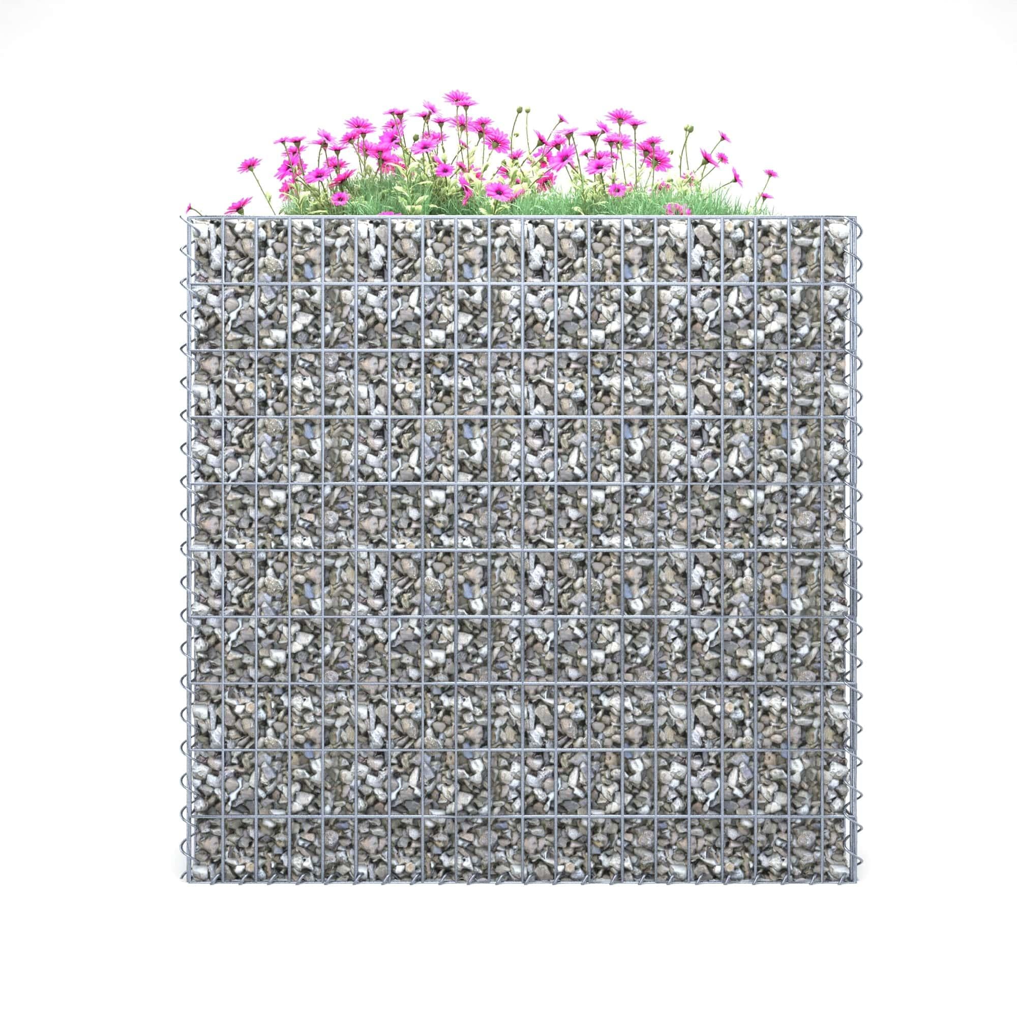 Raised bed square 100 cm x 100 cm x 60 cm (L x H x D), mesh size 5 x 10 cm, wall thickness 10 cm