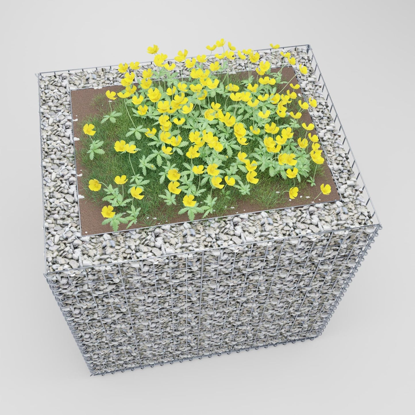 Letto rialzato rettangolare 100 cm x 100 cm x 80 cm (L x H x P), dimensione rete 5 x 10 cm, spessore parete 10 cm