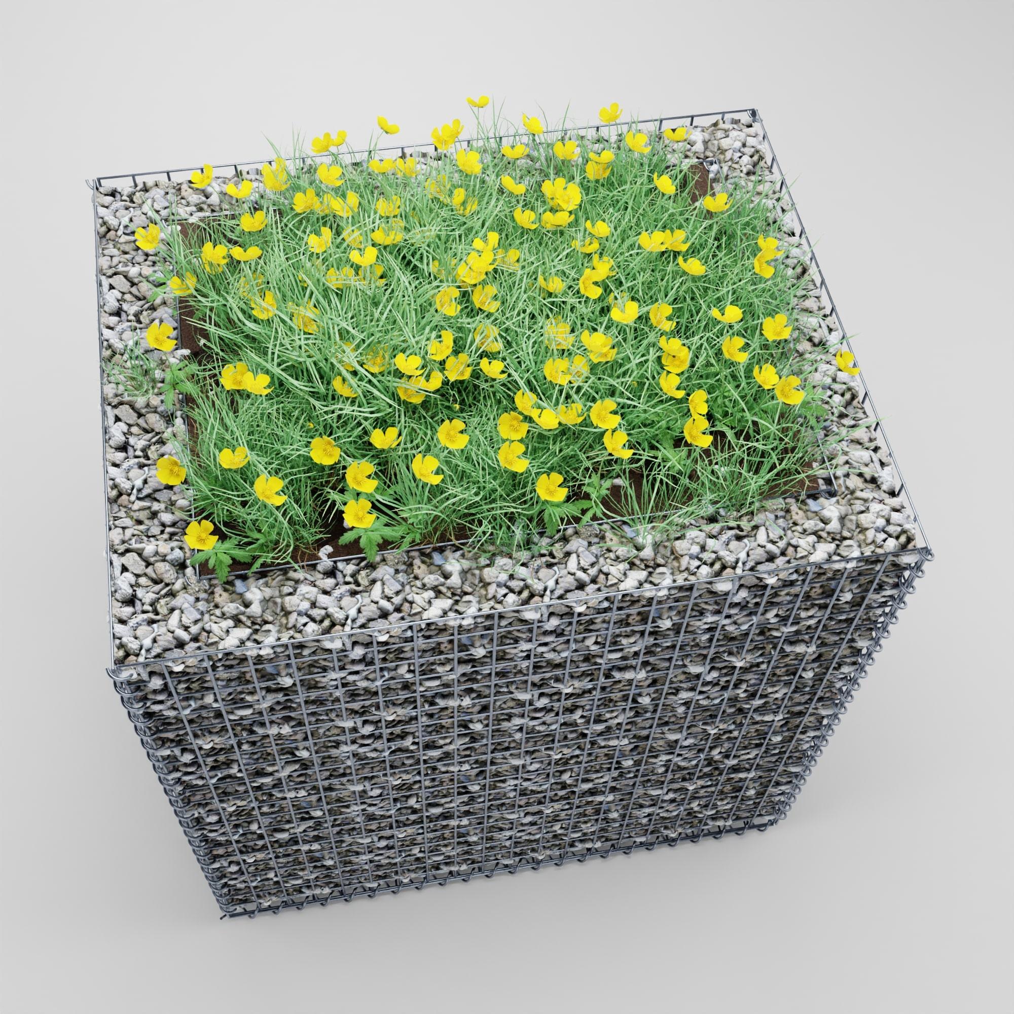 Raised bed square 100 cm x 80 cm x 100 cm (L x H x D), mesh size 5 x 5 cm, wall thickness 10 cm