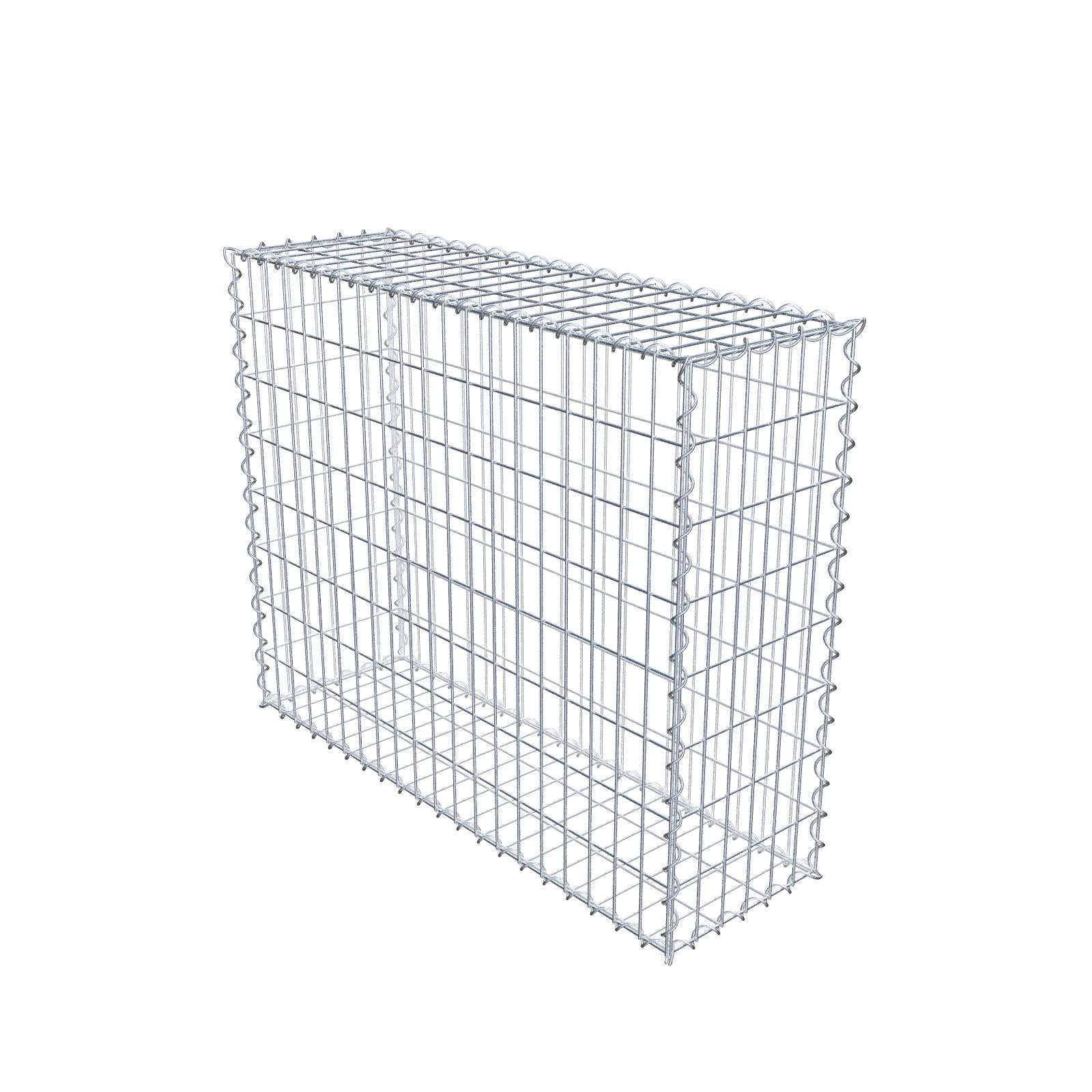 Gabion 100 cm x 80 cm x 30 cm (L x H x P), mailles 5 cm x 10 cm, spirale