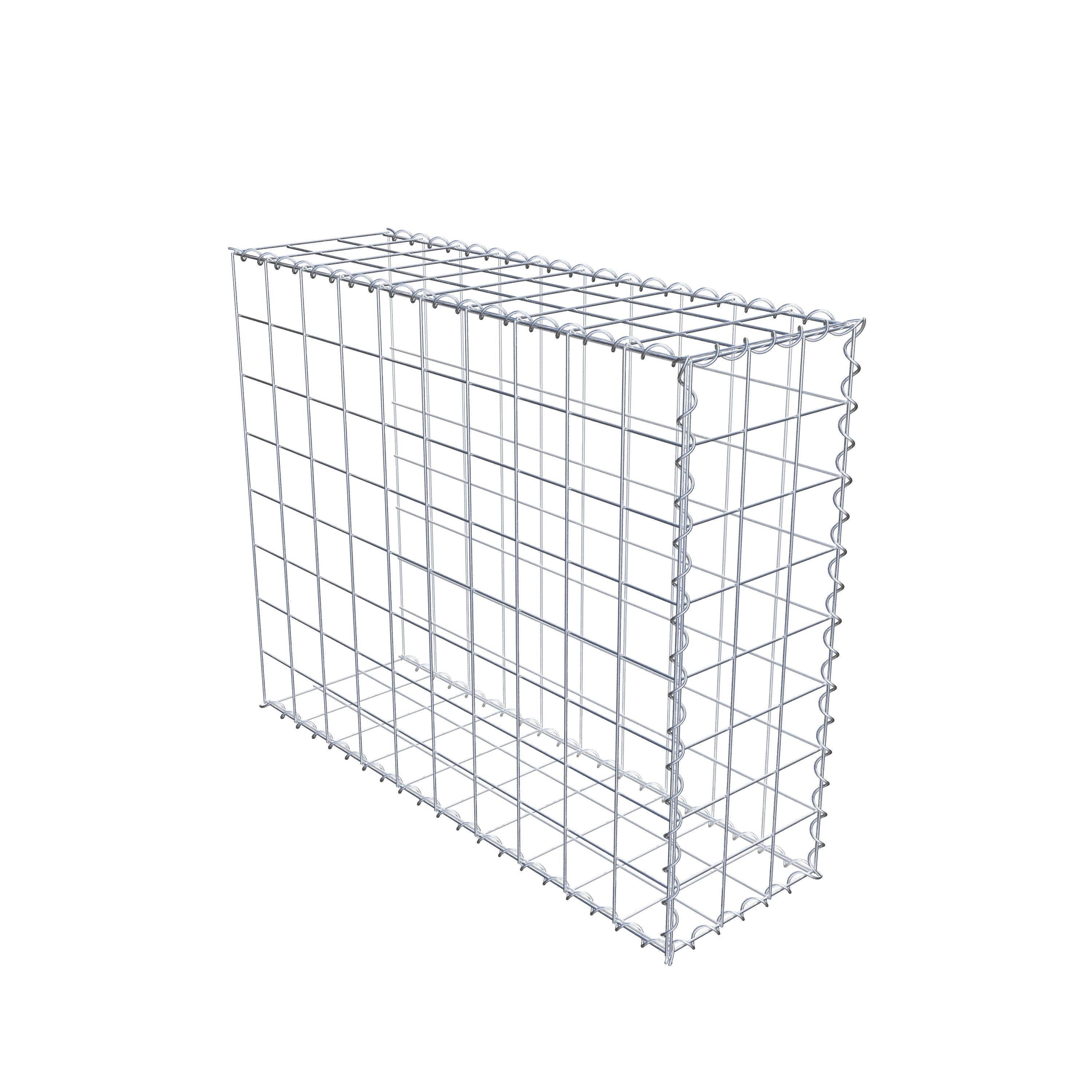 Grown-on gabion type 2 100 cm x 80 cm x 30 cm (L x H x D), mesh size 10 cm x 10 cm, spiral