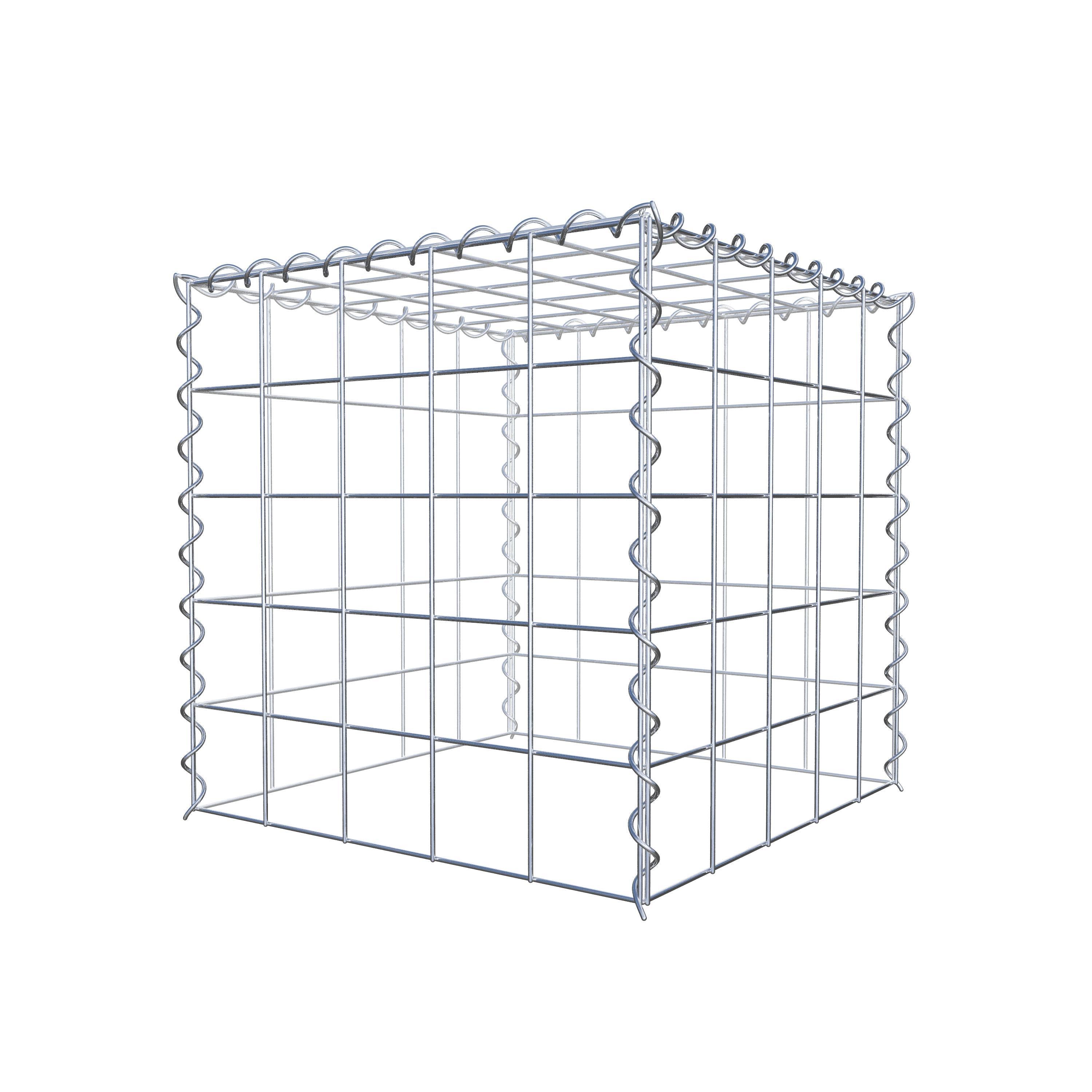 Grown-on gabion type 3 50 cm x 50 cm x 50 cm (L x H x D), mesh size 10 cm x 10 cm, spiral