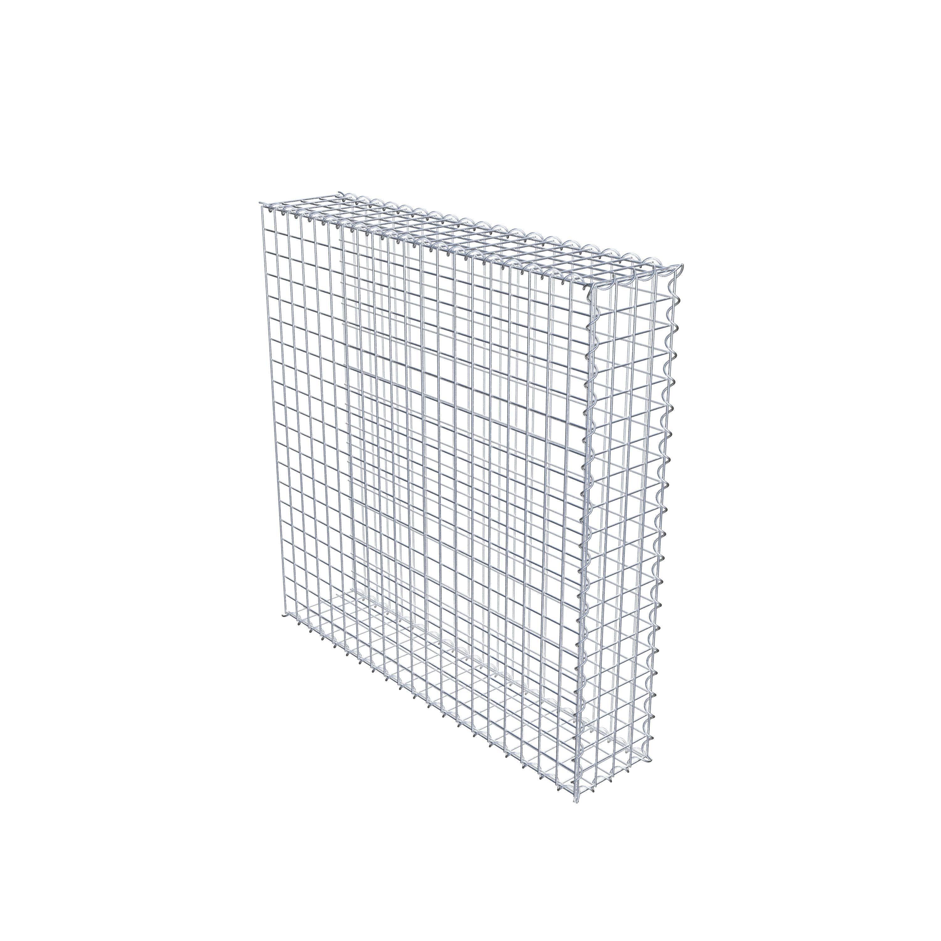 Opvokset gabion type 2 100 cm x 100 cm x 20 cm (L x H x D), maskestørrelse 5 cm x 5 cm, spiral