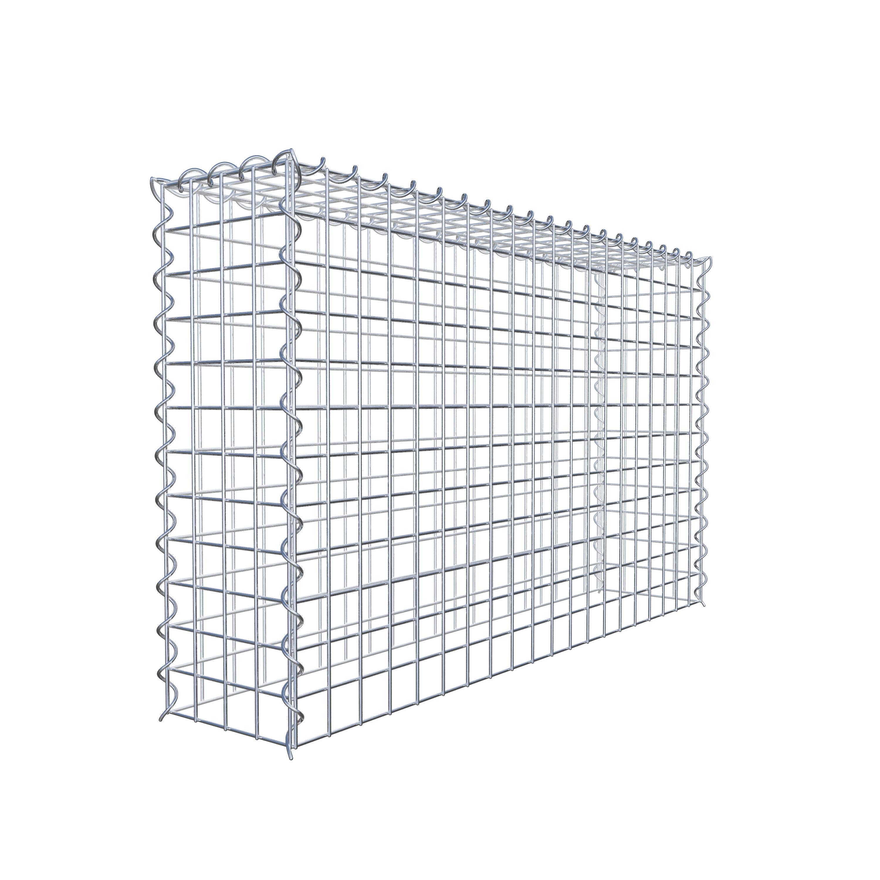 Opvokset gabion type 3 100 cm x 60 cm x 20 cm (L x H x D), maskestørrelse 5 cm x 5 cm, spiral