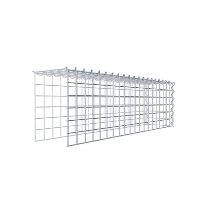 Opvokset gabion type 4 100 cm x 30 cm x 20 cm (L x H x D), maskestørrelse 5 cm x 5 cm, spiral