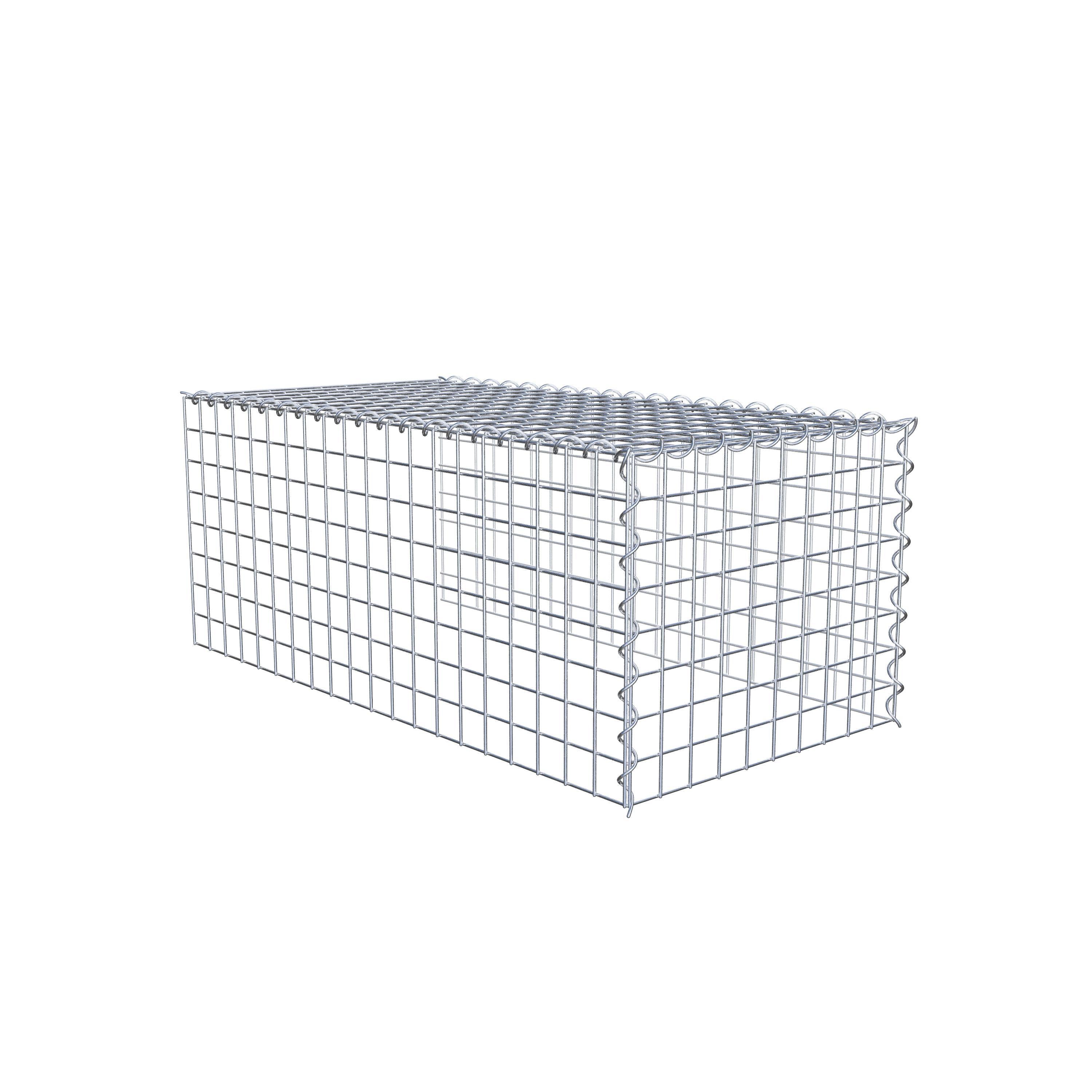 Opvokset gabion type 4 100 cm x 40 cm x 50 cm (L x H x D), maskestørrelse 5 cm x 5 cm, spiral