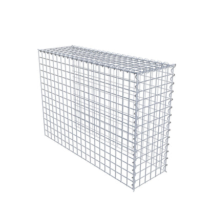 Opvokset gabion type 4 100 cm x 70 cm x 30 cm (L x H x D), maskestørrelse 5 cm x 5 cm, spiral