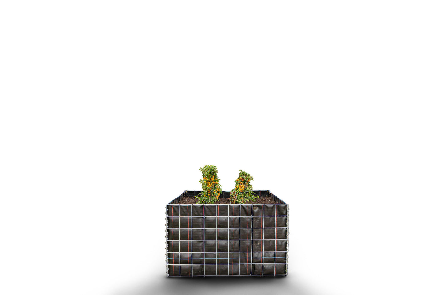 Canteiro quadrado elevado sem pedras 100 cm x 60 cm x 100 cm