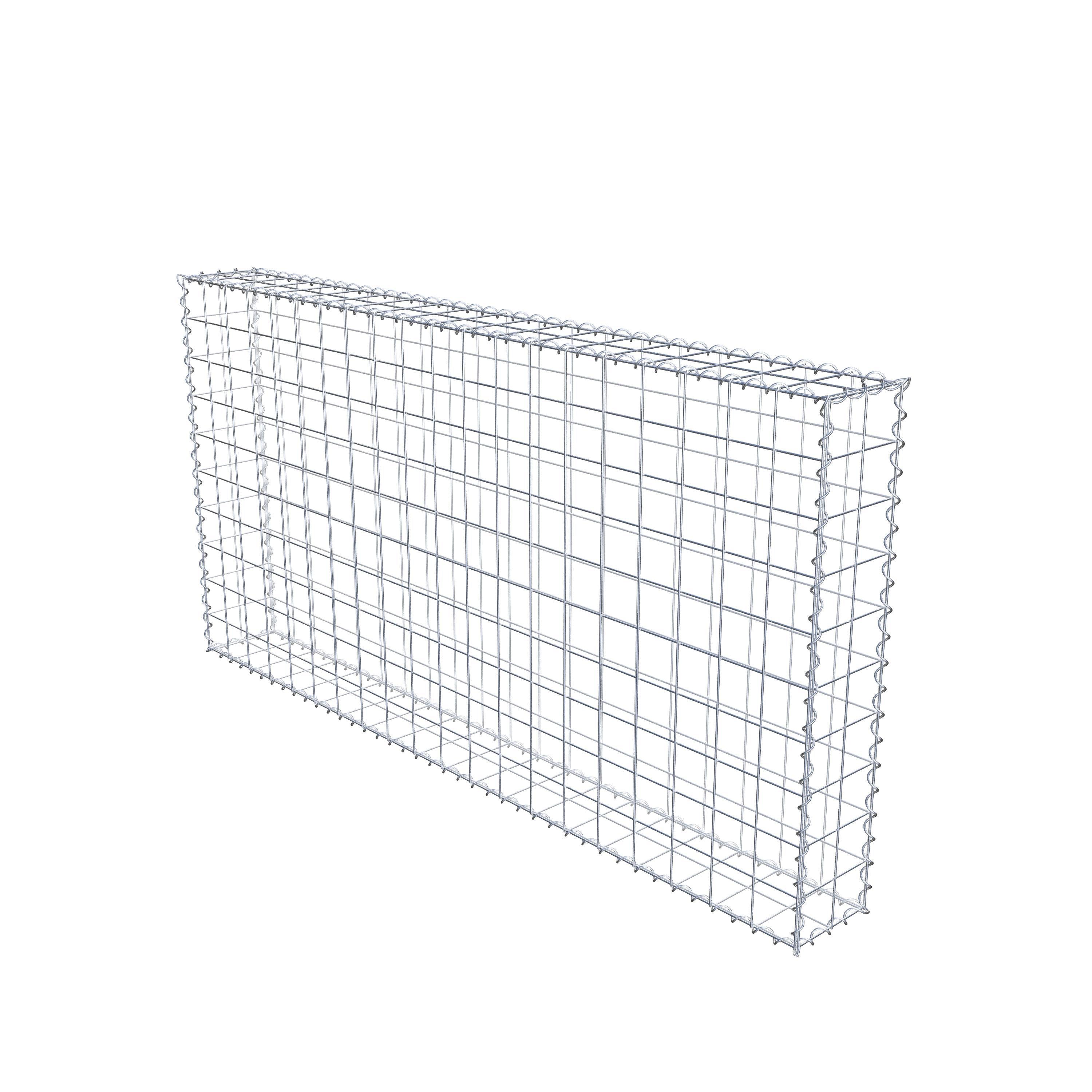 Gabion 200 cm x 100 cm x 20 cm (L x H x D), maskstorlek 10 cm x 10 cm, spiral