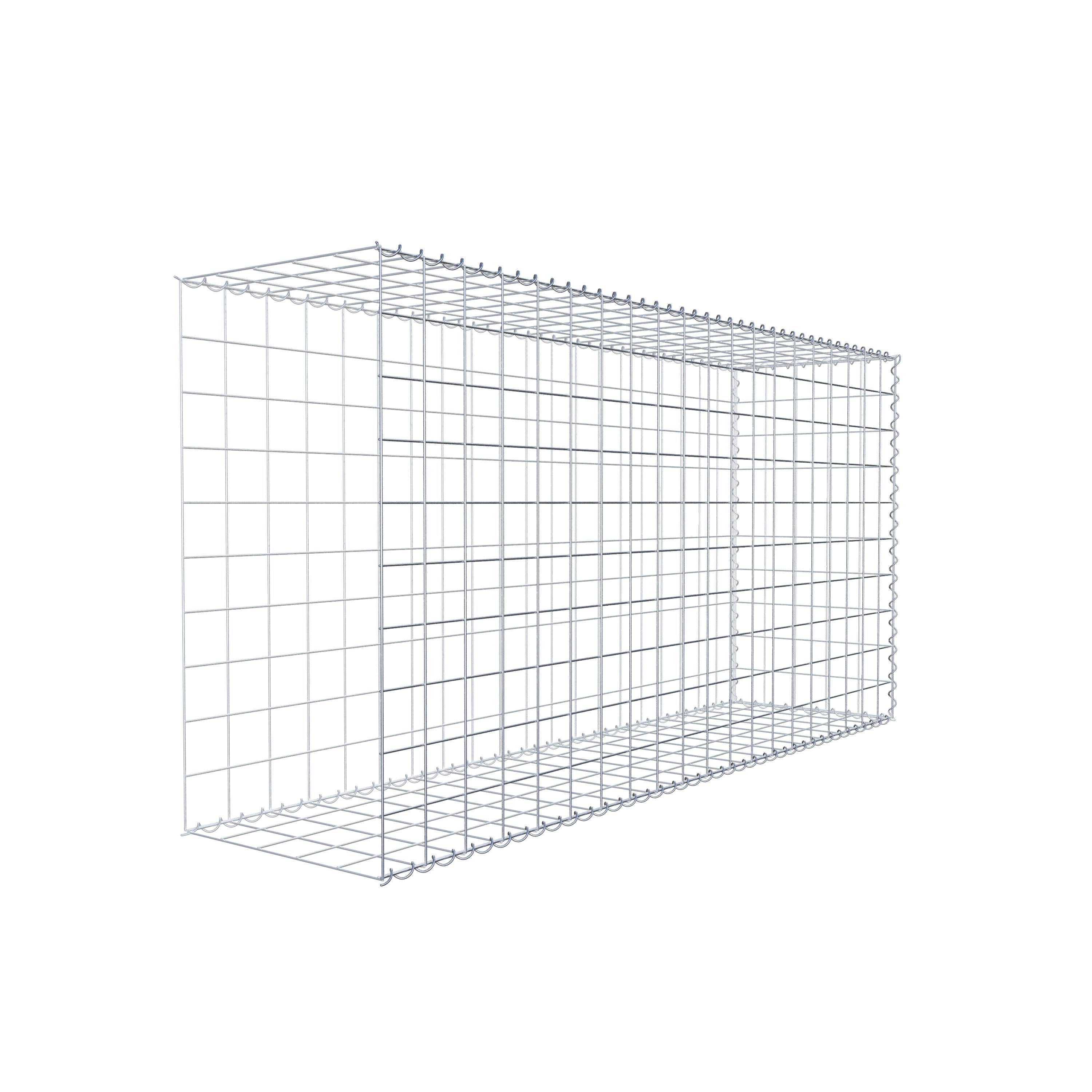 Grown-on gabion type 2 200 cm x 100 cm x 50 cm (L x H x D), mesh size 10 cm x 10 cm, spiral