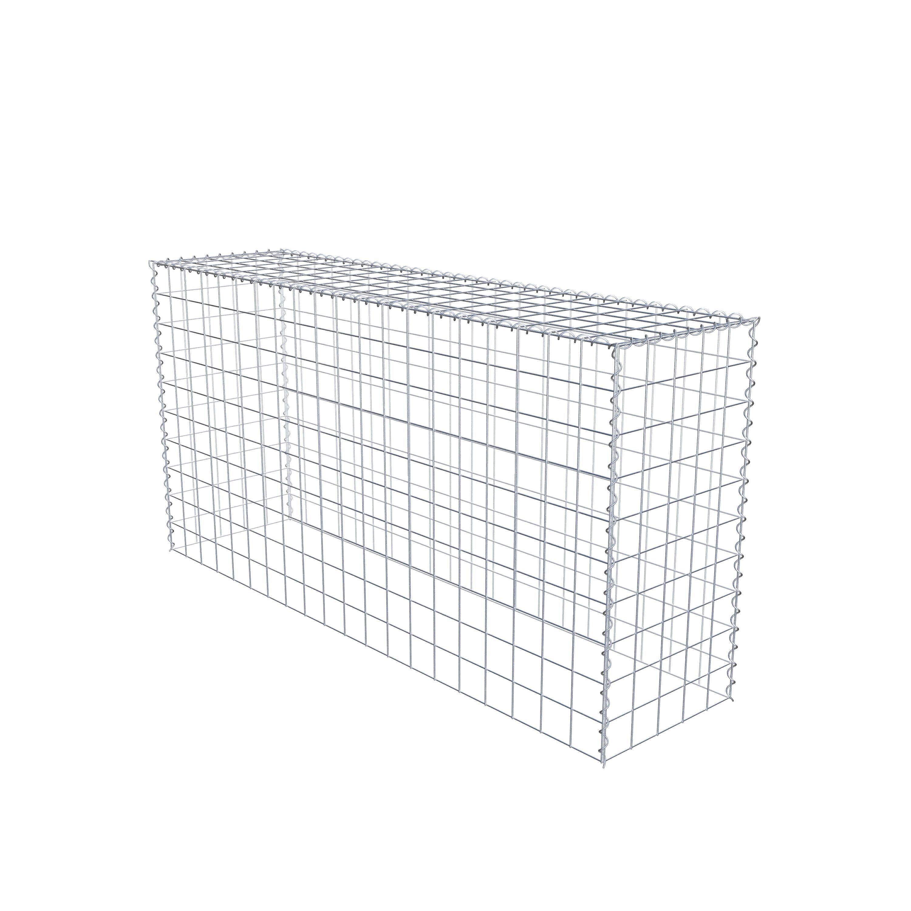 Grown-on gabion type 3 200 cm x 100 cm x 50 cm (L x H x D), mesh size 10 cm x 10 cm, spiral