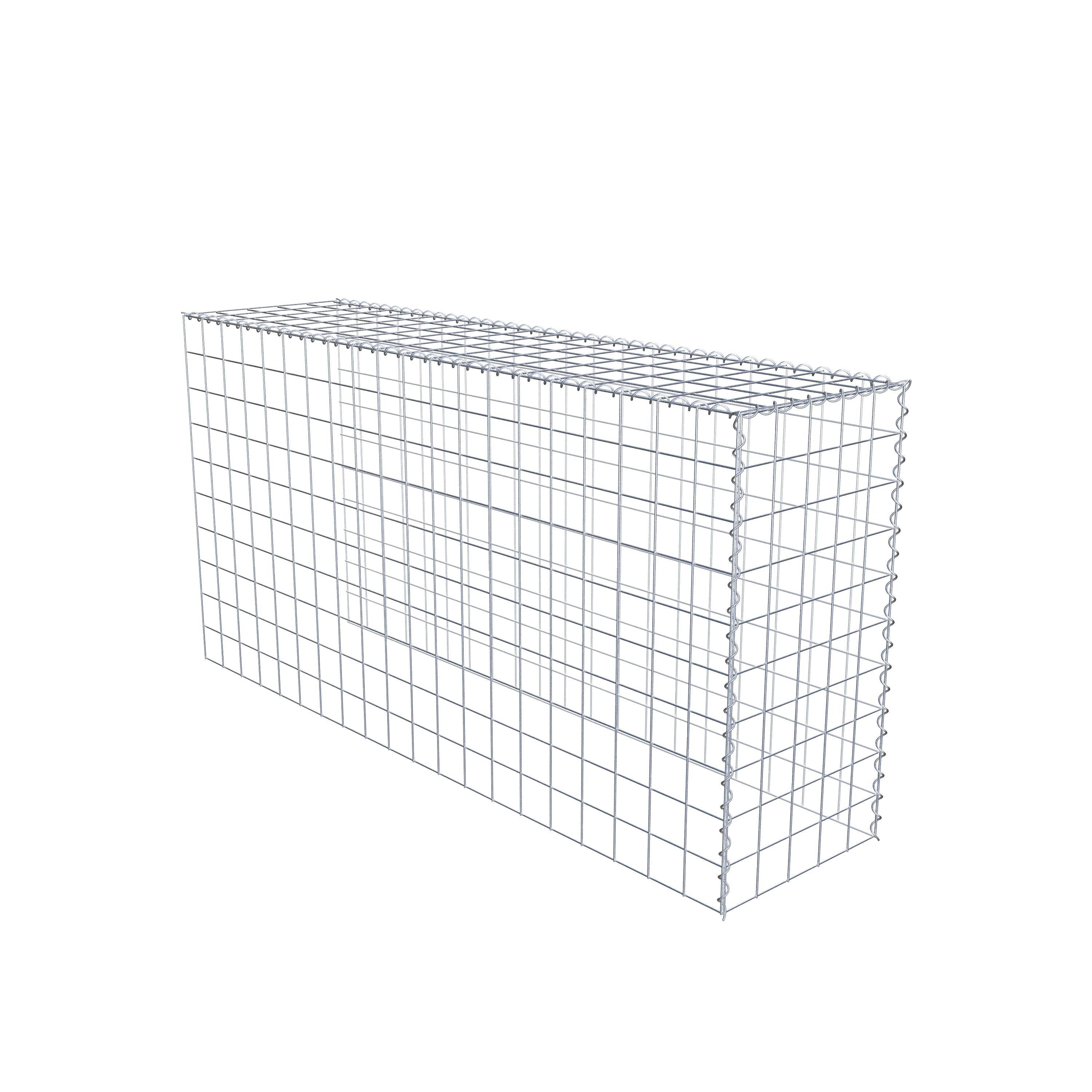 Grown-on gabion type 4 200 cm x 100 cm x 50 cm (L x H x D), mesh size 10 cm x 10 cm, spiral