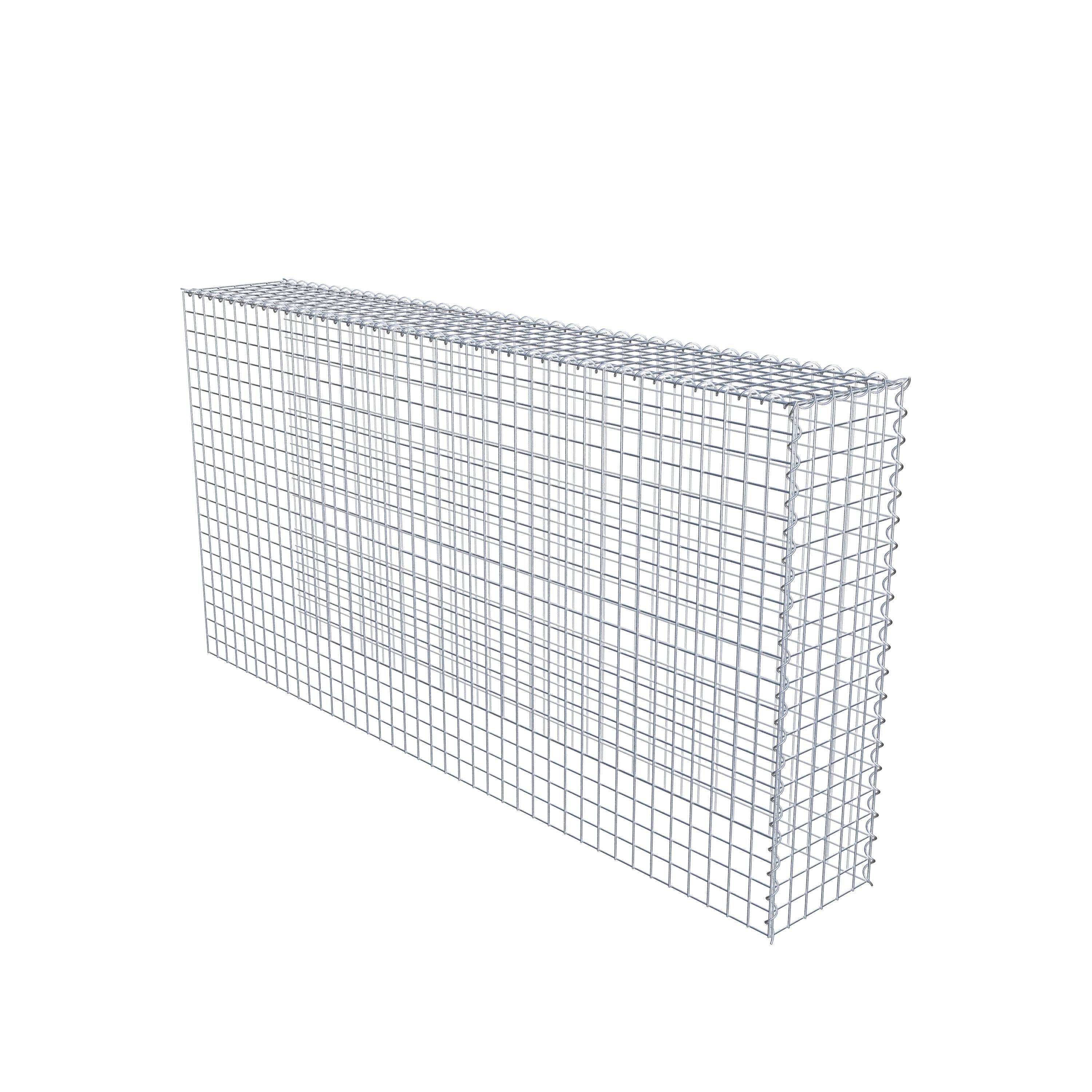 Grown-on gabion type 4 200 cm x 100 cm x 30 cm (L x H x D), mesh size 5 cm x 5 cm, spiral