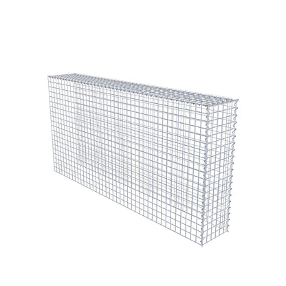 Opvokset gabion type 4 200 cm x 100 cm x 30 cm (L x H x D), maskestørrelse 5 cm x 5 cm, spiral