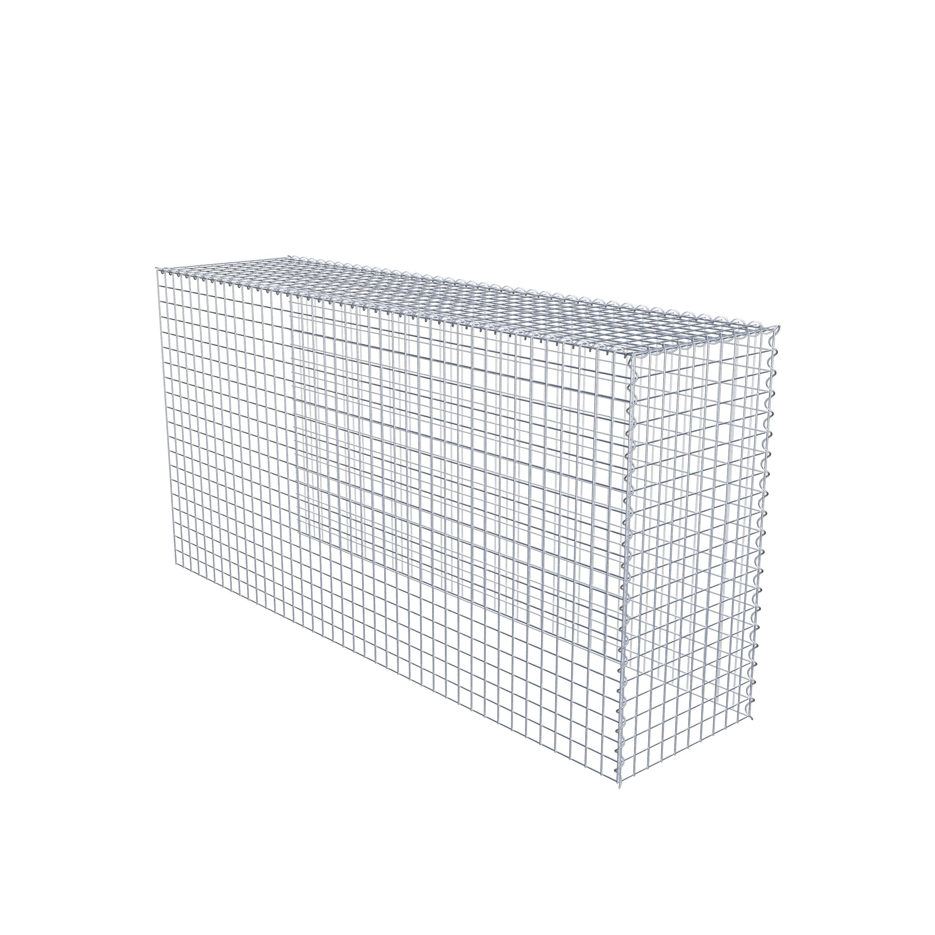 Gabion rapporté type 4 200 cm x 100 cm x 50 cm (L x H x P), mailles 5 cm x 5 cm, spirale