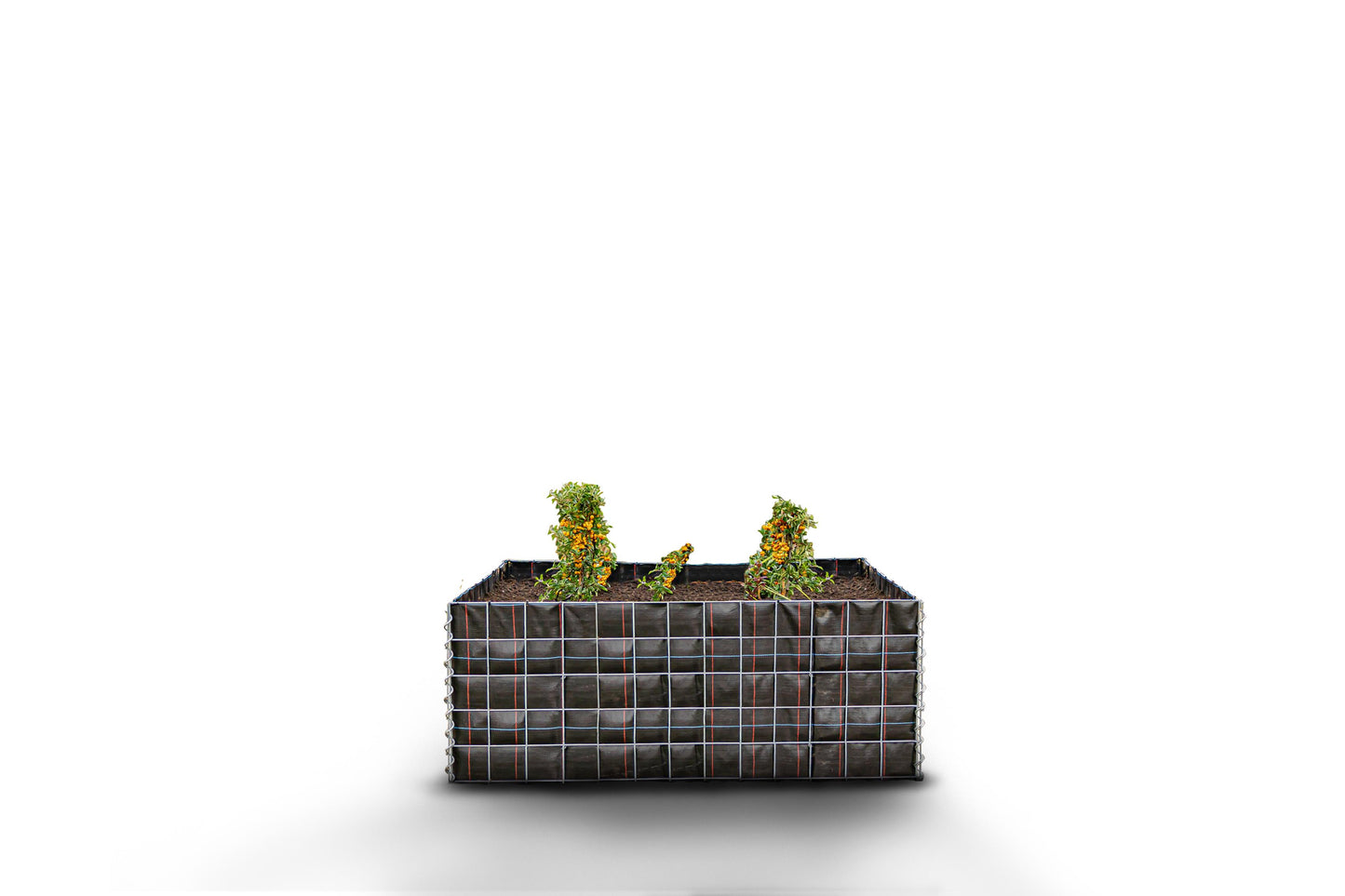 Canteiro quadrado elevado sem pedras 130 cm x 50 cm x 80 cm