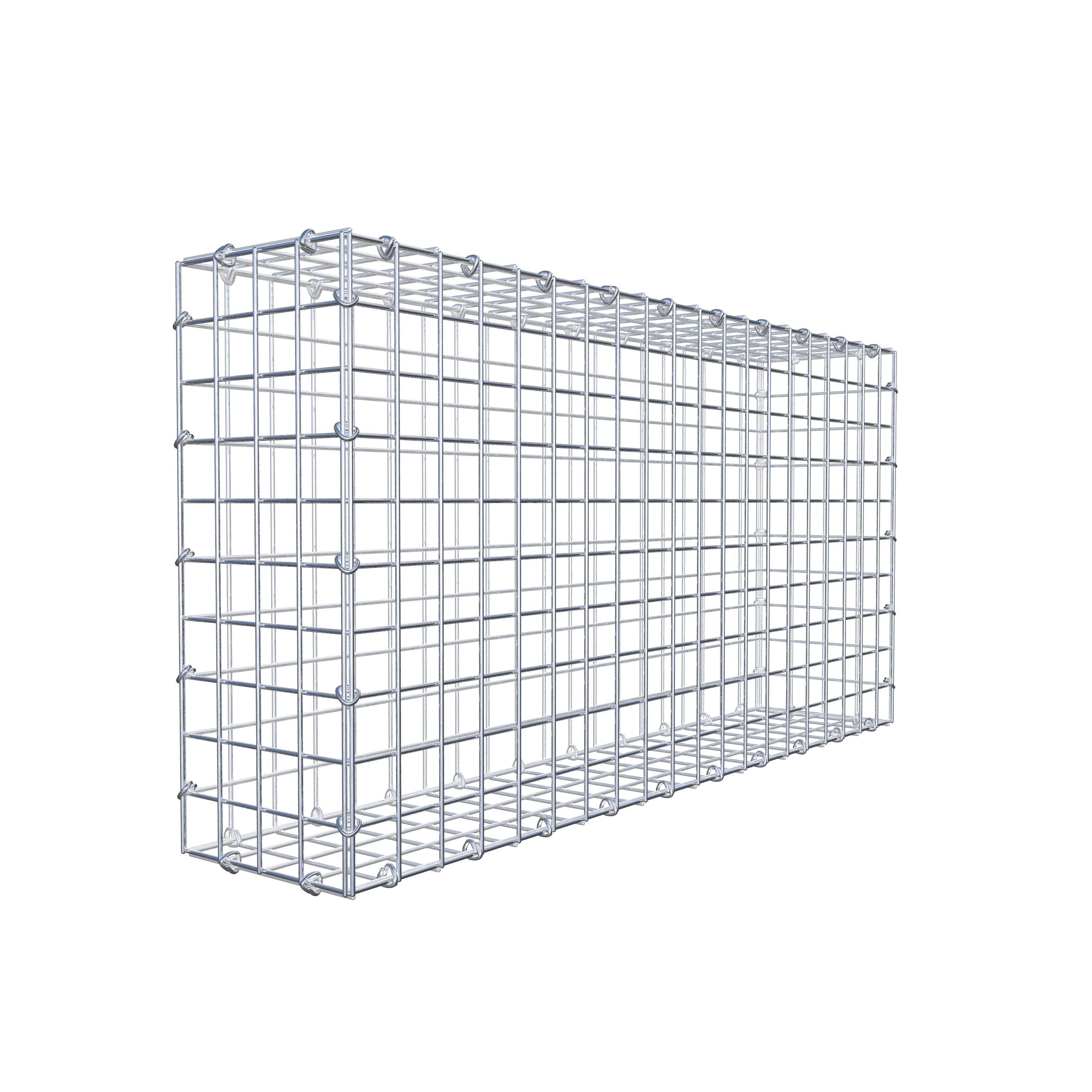 Gabion 100 cm x 50 cm x 20 cm (L x H x D), maskstorlek 5 cm x 5 cm, C-ring