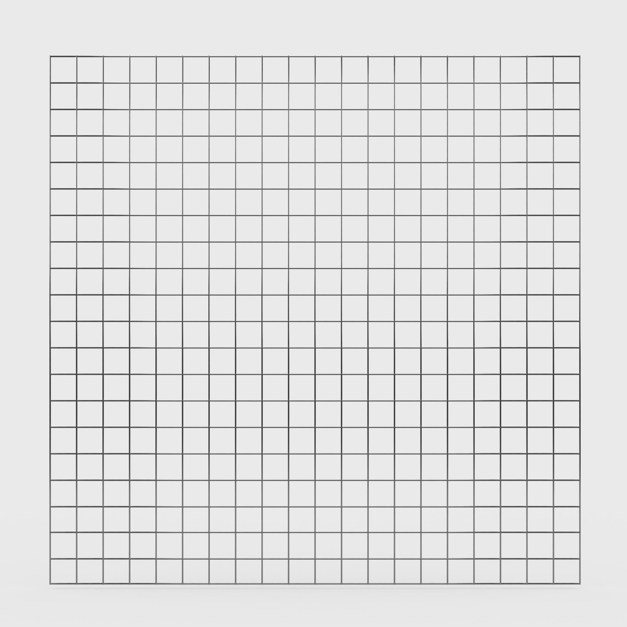 Grid 5 x 5 cm mesh size