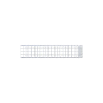 Anbaugabione Typ 2 200 cm x 100 cm x 40 cm (L x H x T), Maschenweite 5 cm x 5 cm, C-Ring