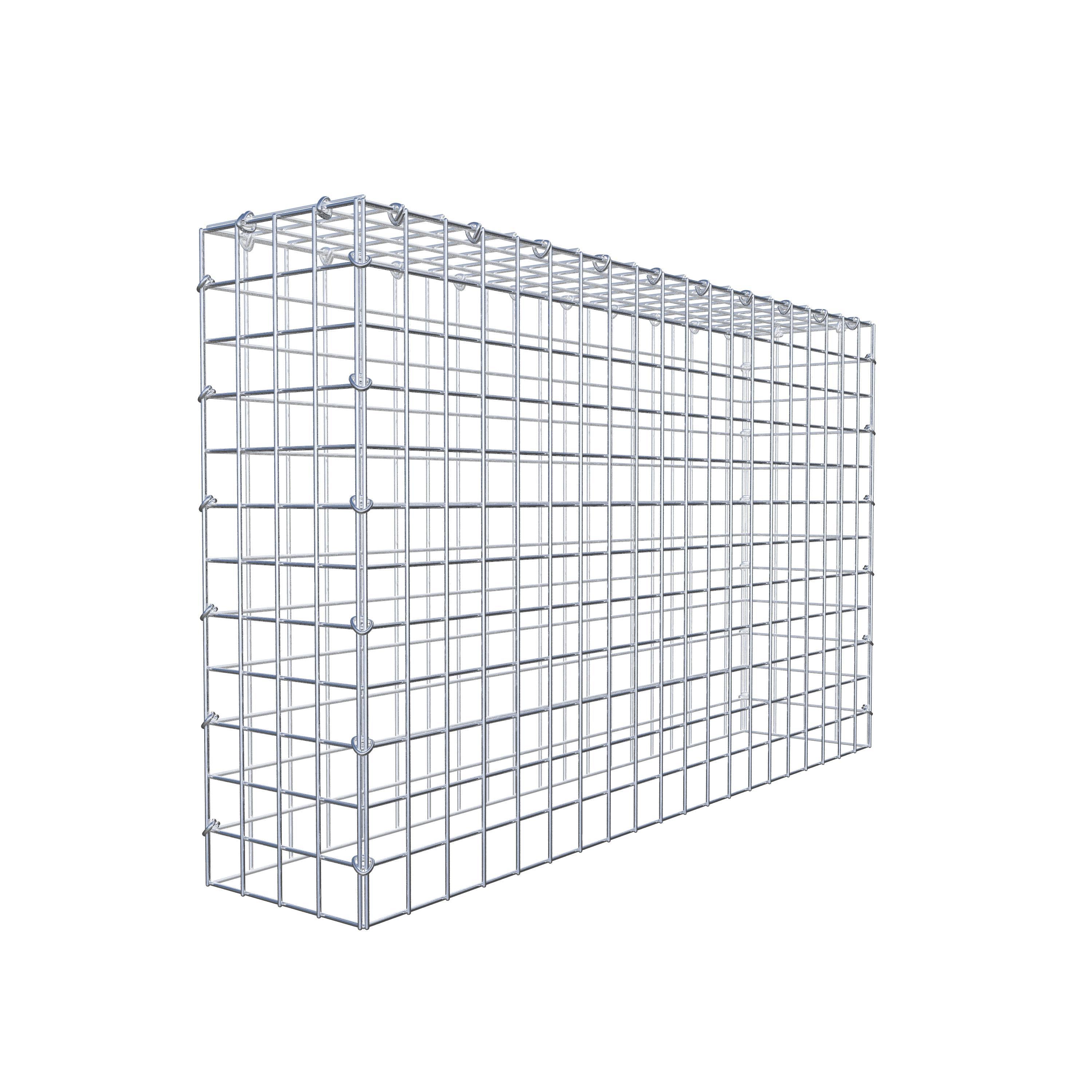 Extra gabion typ 3 100 cm x 60 cm x 20 cm (L x H x D), maskstorlek 5 cm x 5 cm, C-ring