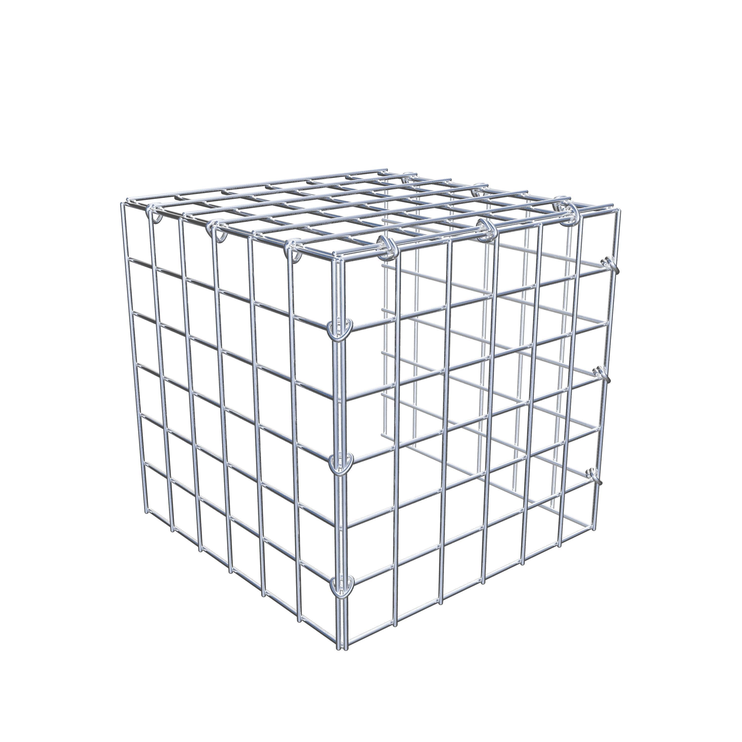 Extra gabion typ 4 30 cm x 30 cm x 30 cm (L x H x D), maskstorlek 5 cm x 5 cm, C-ring