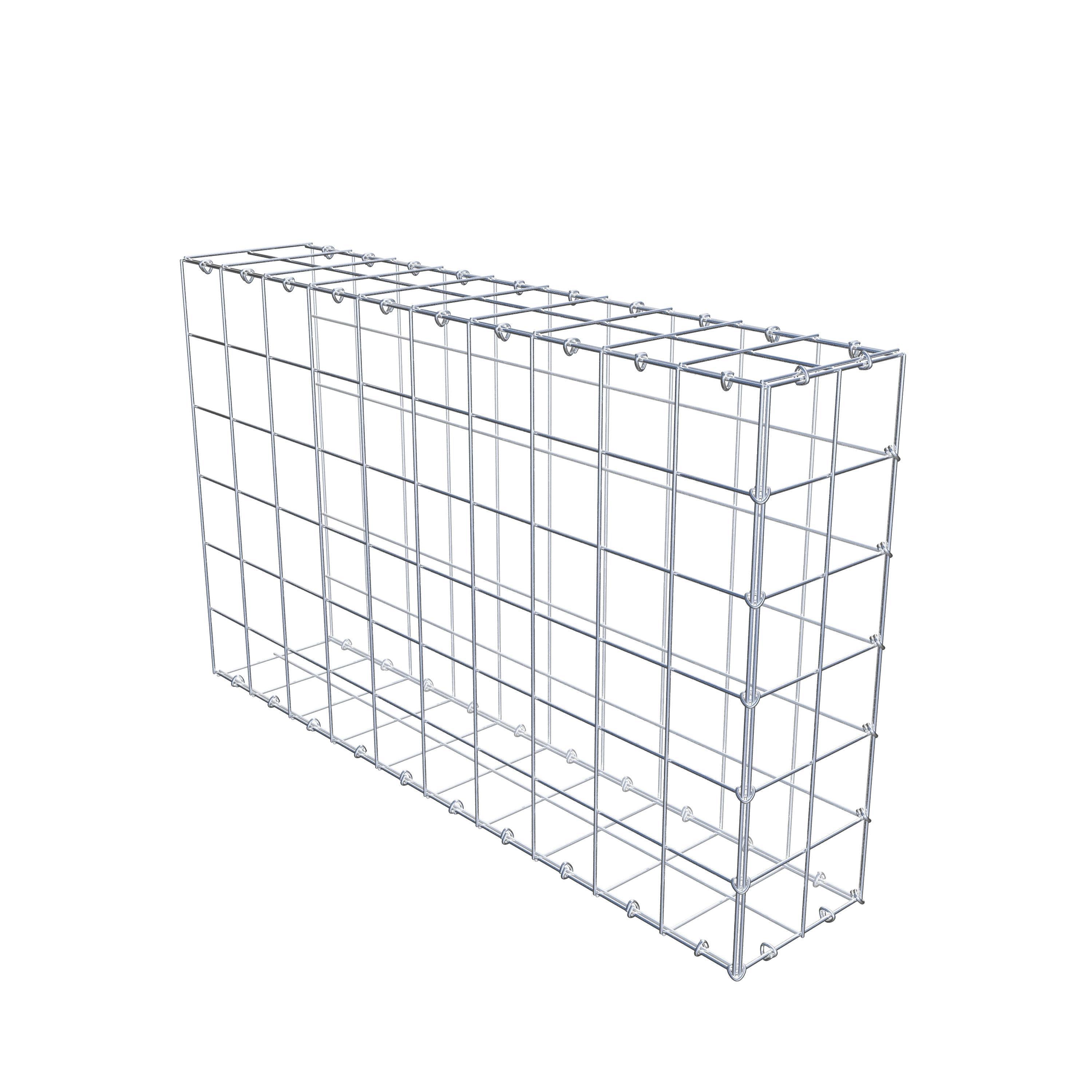 Type 2 oplegkorf 100 cm x 60 cm x 20 cm (L x H x D), maaswijdte 10 cm x 10 cm, C-ring