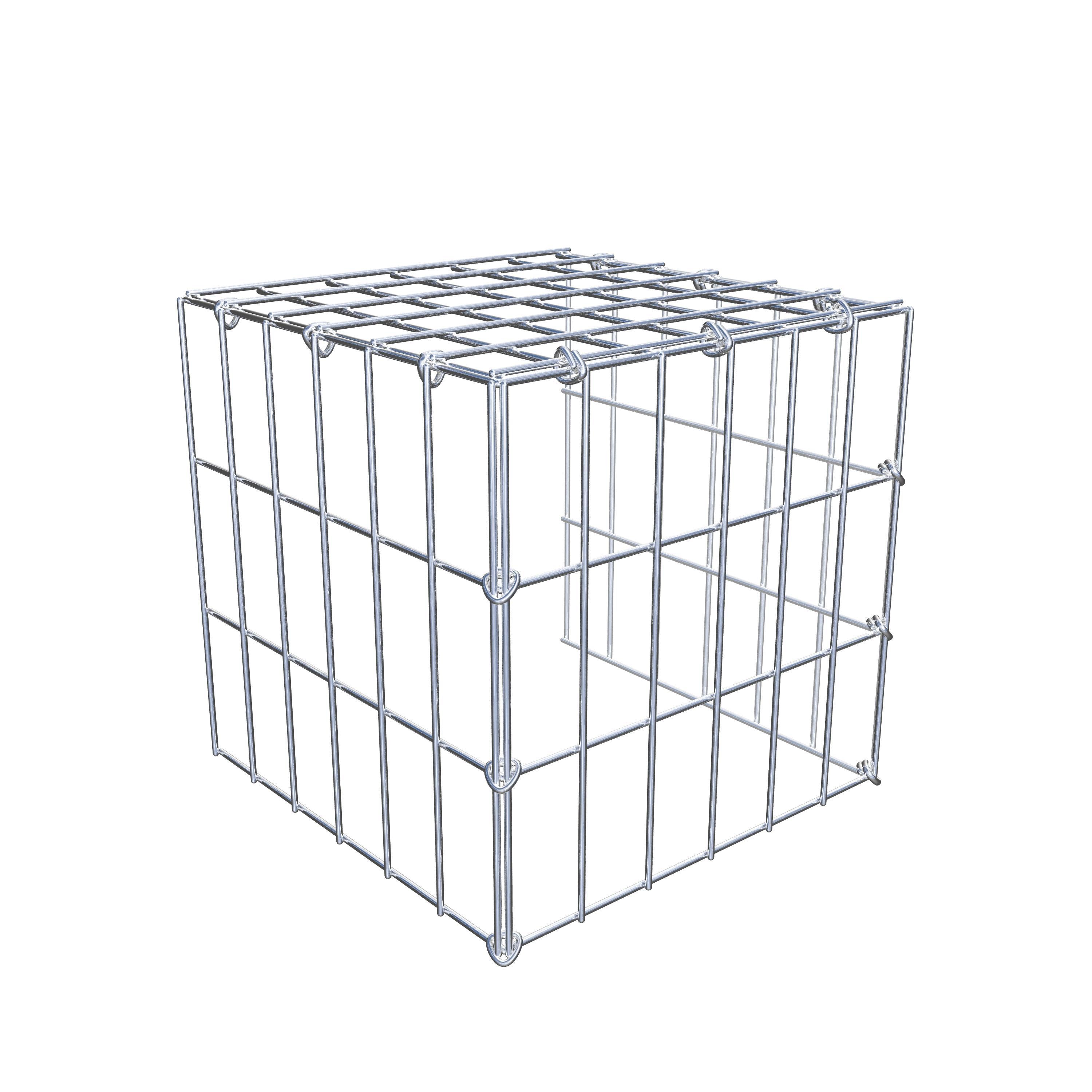 Extra gabion typ 4 30 cm x 30 cm x 30 cm (L x H x D), maskstorlek 5 cm x 10 cm, C-ring