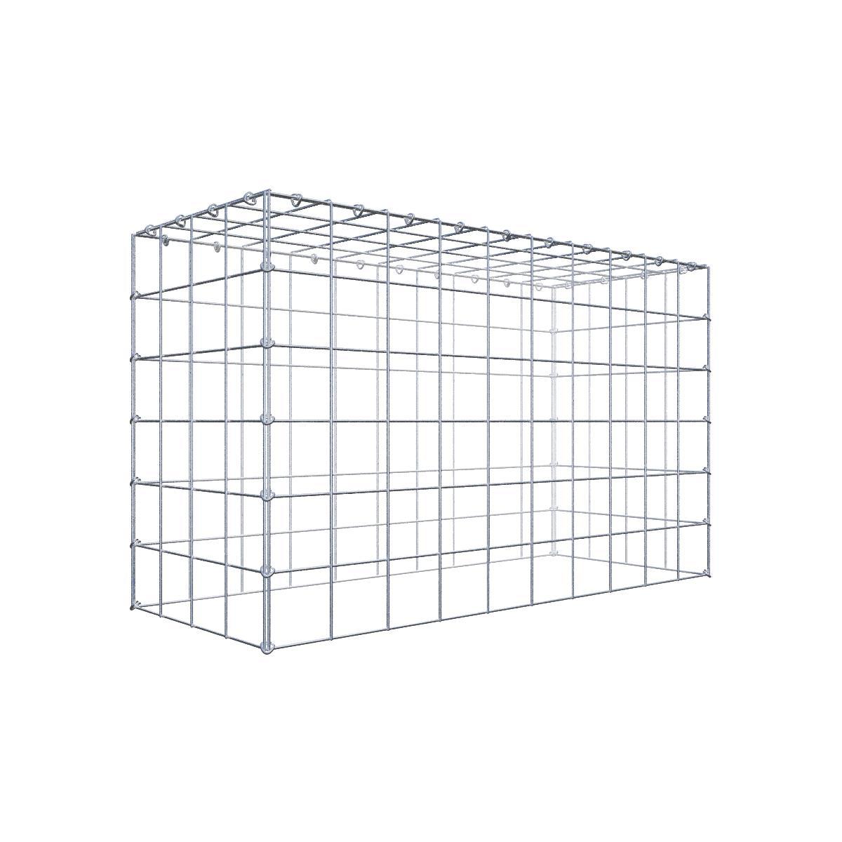 Gabione 10x10 100x060x040 Typ3 C-Ring