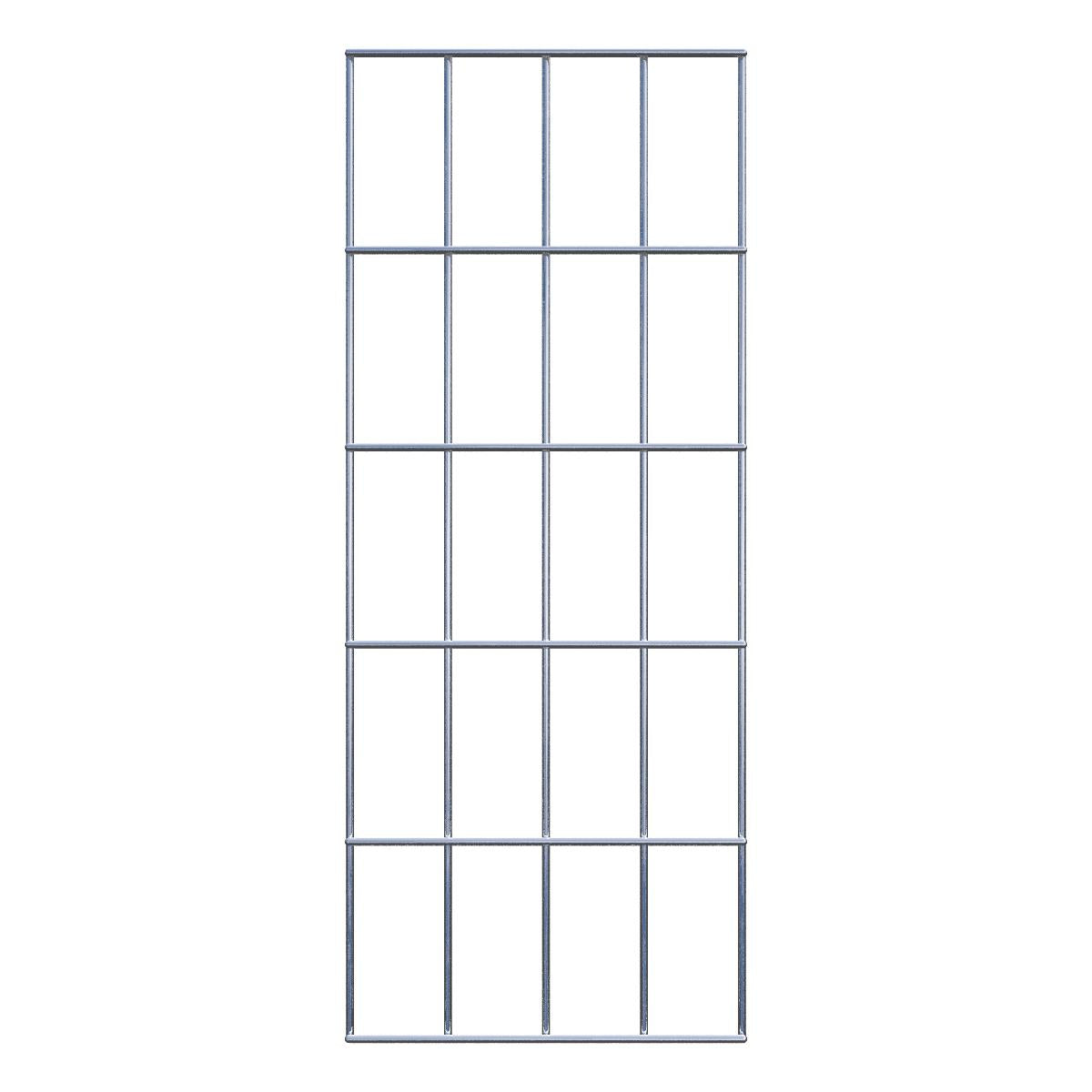 Maaswijdte 5 x 10 cm