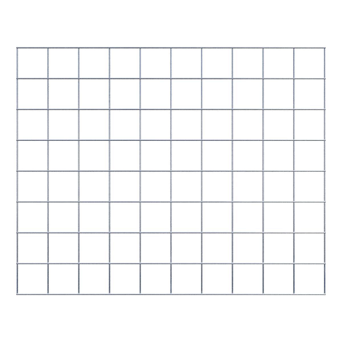 Grid 10 x 10 cm mesh size 