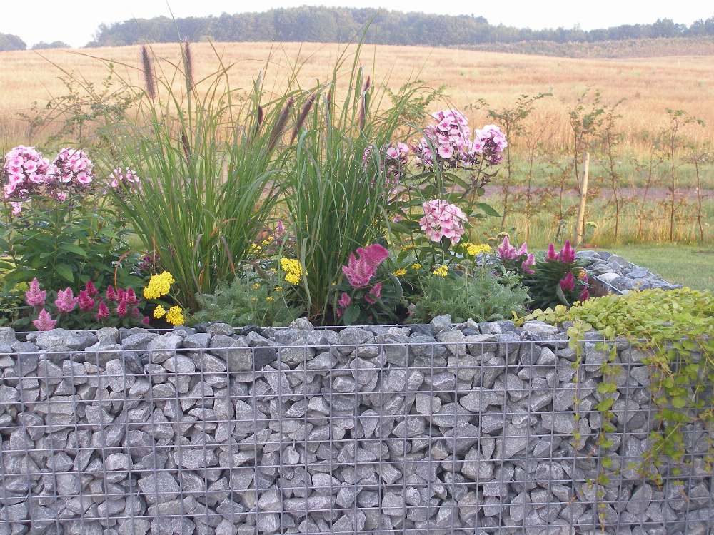 Gabion raised bed made to measure - mesh size 5x5cm