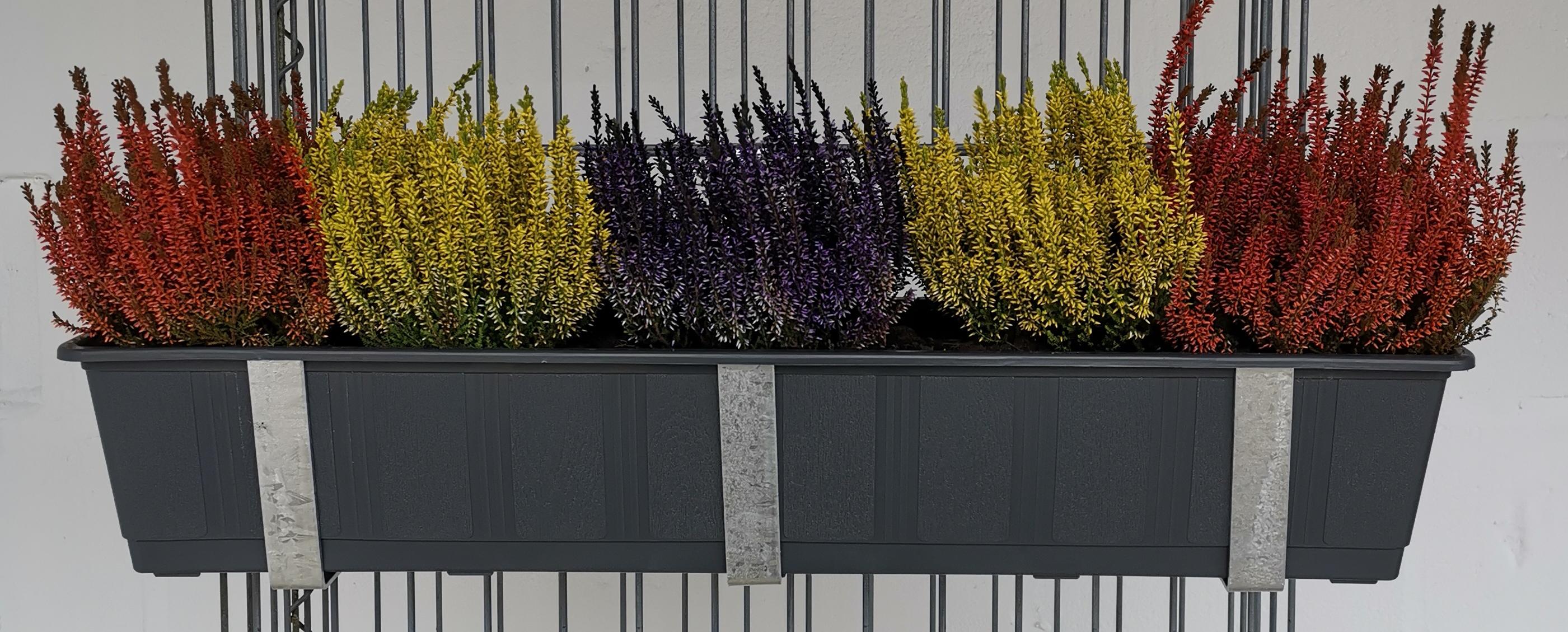 Support pour caissettes à fleurs galvanisé en set de 3 avec pot de fleurs, pour gabions MW 5 x 20