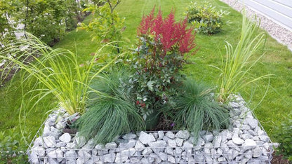 Højbed firkantet 120 cm x 50 cm x 50 cm (L x H x D), maskestørrelse 5 x 5 cm, vægtykkelse 10 cm