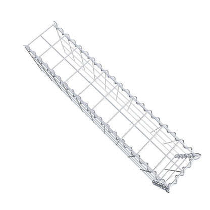 Opvokset gabion type 4 100 cm x 30 cm x 20 cm (L x H x D), maskestørrelse 10 cm x 10 cm, spiral