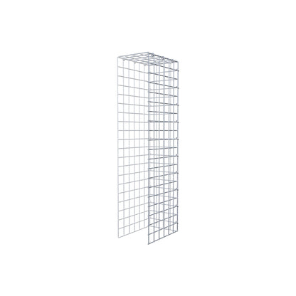 Monteret gabion type 4 100 cm x 30 cm x 20 cm (L x H x D), maskestørrelse 5 cm x 5 cm, C-ring