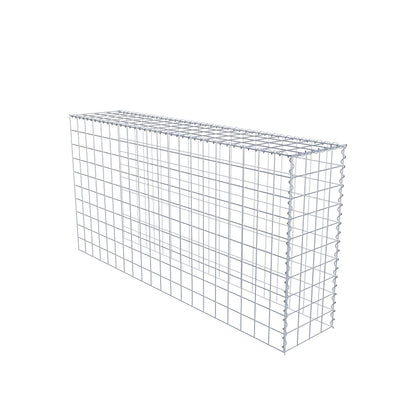 Grown-on gabion type 4 200 cm x 100 cm x 40 cm (L x H x D), mesh size 10 cm x 10 cm, spiral