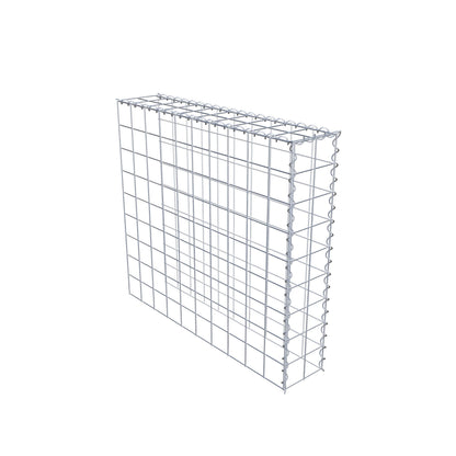 Grown-on gabion type 4 100 cm x 90 cm x 20 cm (L x H x D), mesh size 10 cm x 10 cm, spiral