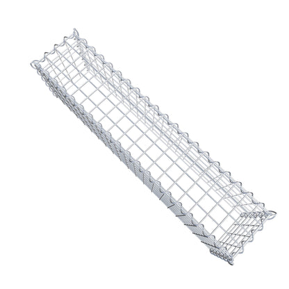 Opvokset gabion type 3 100 cm x 30 cm x 20 cm (L x H x D), maskestørrelse 5 cm x 5 cm, spiral
