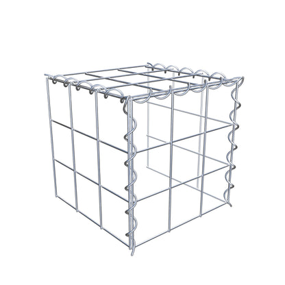 Grown-on gabion type 4 30 cm x 30 cm x 30 cm (L x H x D), mesh size 10 cm x 10 cm, spiral