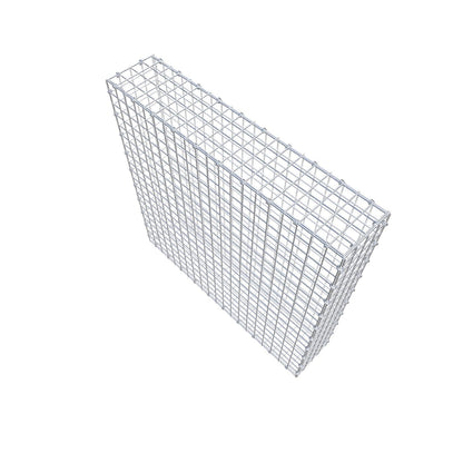Gabbione 100 cm x 100 cm x 20 cm (L x H x P), maglia 5 x 5 cm, anello a spirale