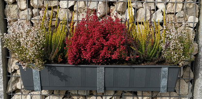 Suporte para caixa de flores galvanizado em um conjunto de 3 incluindo vaso de flores, para gabiões MW 5 x 10