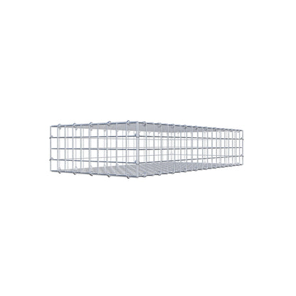 Gabion 100 cm x 20 cm x 50 cm (L x H x D), mesh size 5 cm x 5 cm, C-ring