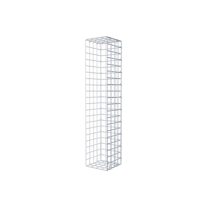 Mounted gabion type 2 100 cm x 20 cm x 20 cm (L x H x D), mesh size 5 cm x 5 cm, C-ring