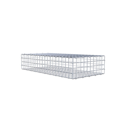 Gabion 100 cm x 20 cm x 50 cm (L x H x D), mesh size 5 cm x 5 cm, C-ring